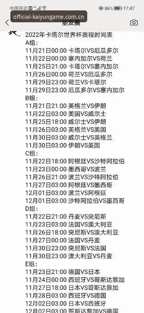 开云APP最新版本使用指南 掌握世界杯观赛签证难题的实用应对策略