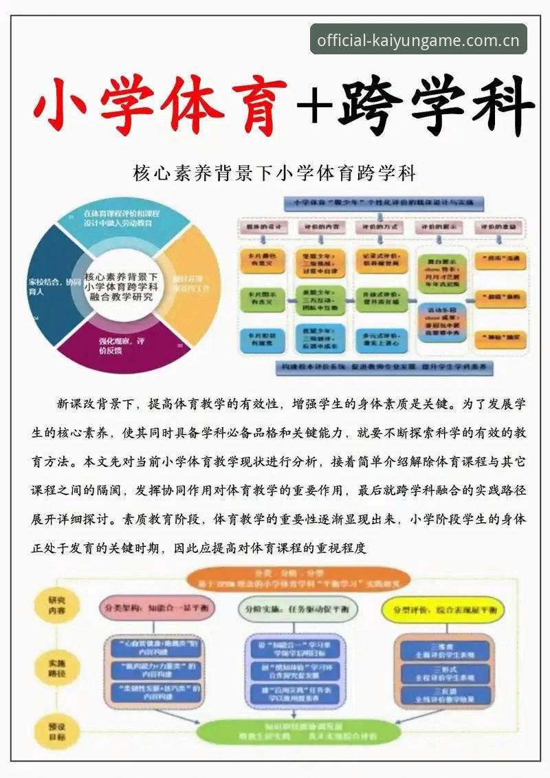kaiyun体育平台使用体验全面解析：从入门到精通的创新路径
